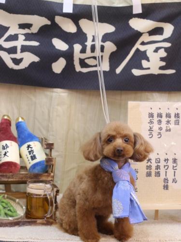 20240627永遠ちゃん